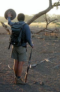 Sun in Kruger National Park